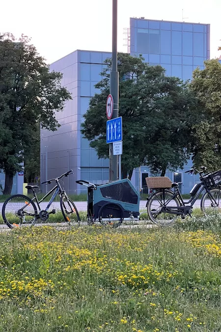 Wypożyczalnia przyczepek dla psa Warszawa