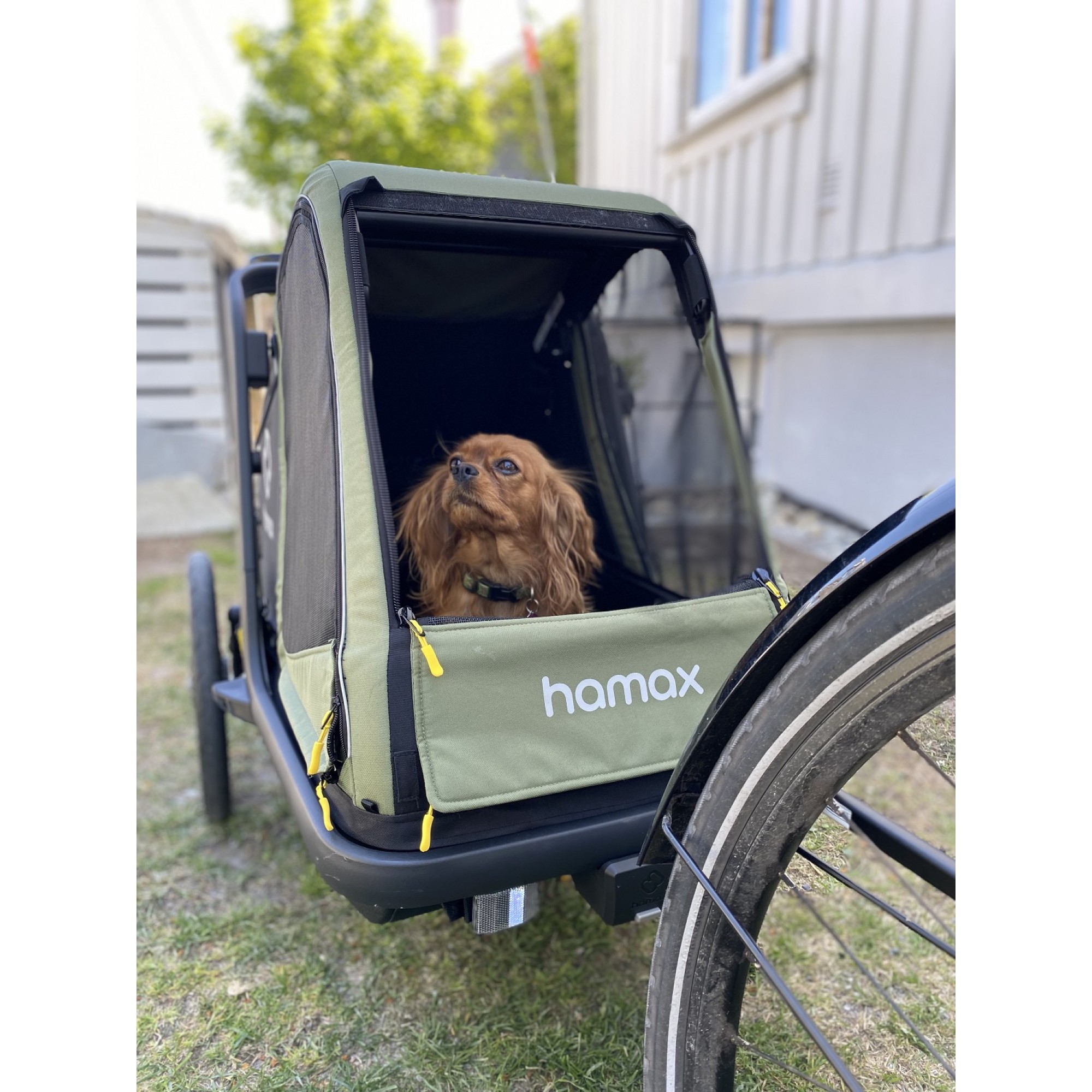 Wynajem Hamax Pluto M – przyczepka rowerowa i wózek dla psa do 35 kg Warszawa